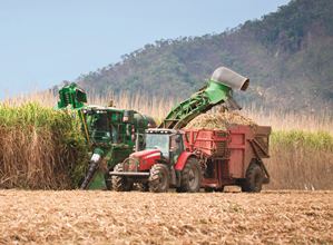 Sugarcane Harvesting & Processing Chain