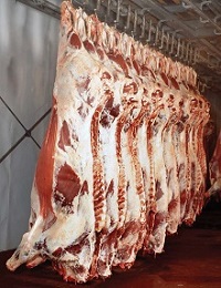 Abattoir 