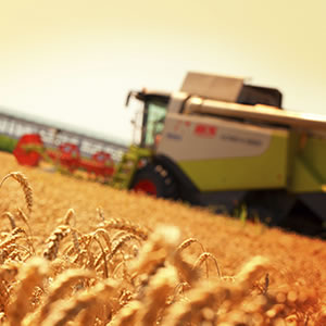 Agriculture, Forestry & Fishing